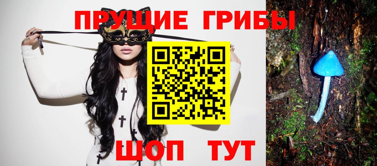 Псилоцибиновые грибы Psilocybe  Вход с VPN  Ачхой-Мартан  Галлюциногенные грибы Psilocybine cubensis 