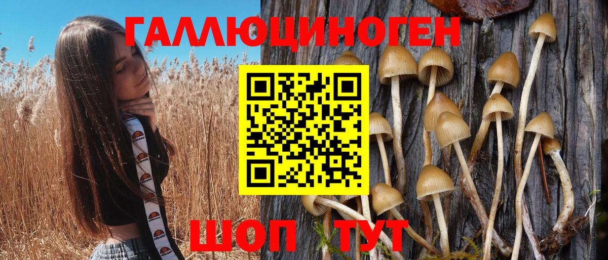 Галлюциногенные грибы Magic Shrooms Ачхой-Мартан
